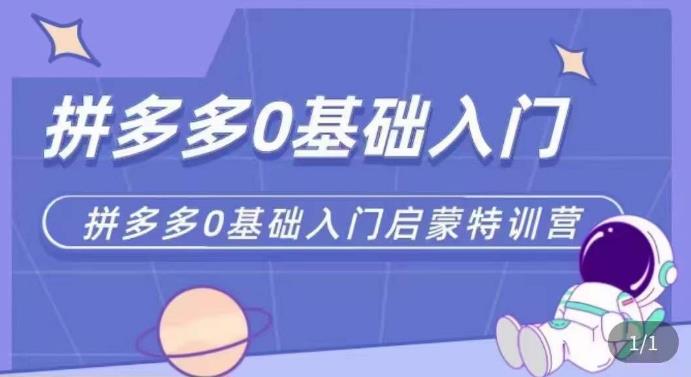 拼多多运营0-1实操特训营，拼多多0基础入门，从基础到进阶的可实操玩法-逐浪前行