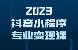 2023年抖音小程序变现保姆级教程,0粉丝新号,无需实名,3天起号,第1条视频就有收入-逐浪前行