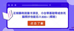 正规暴利流量卡项目,小白零基础零成本无脑照抄也能日入300+【揭秘】-逐浪前行