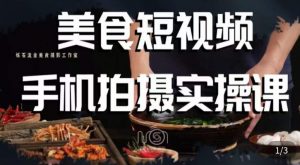 烁石·美食视频手机拍摄实操课,美食摄影理论、手机拍摄相关设置、剪辑调色、布光原理等内容-逐浪前行