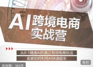 白龙老师·AI跨境电商实战营:从0-1精通Al的真正有效电商玩法,卖家如何利用Al快速超车-逐浪前行