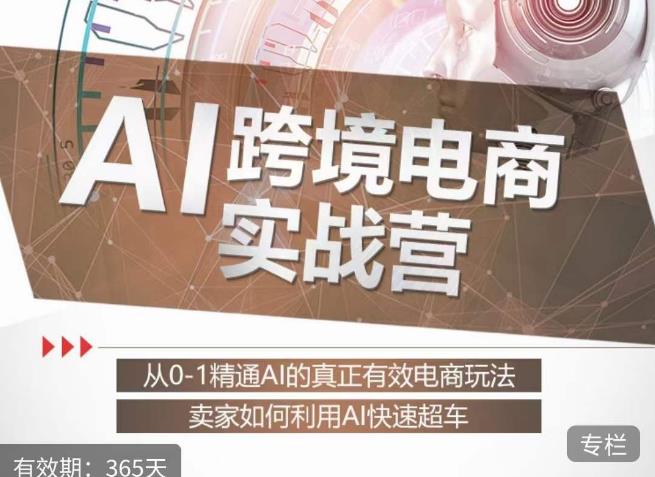 白龙老师·AI跨境电商实战营：从0-1精通Al的真正有效电商玩法，卖家如何利用Al快速超车-逐浪前行