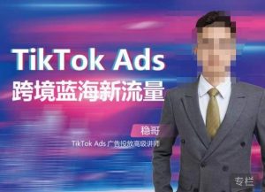 稳哥·如何投出高ROI的TikTok广告,开拓独立站卖家流量新蓝海-逐浪前行