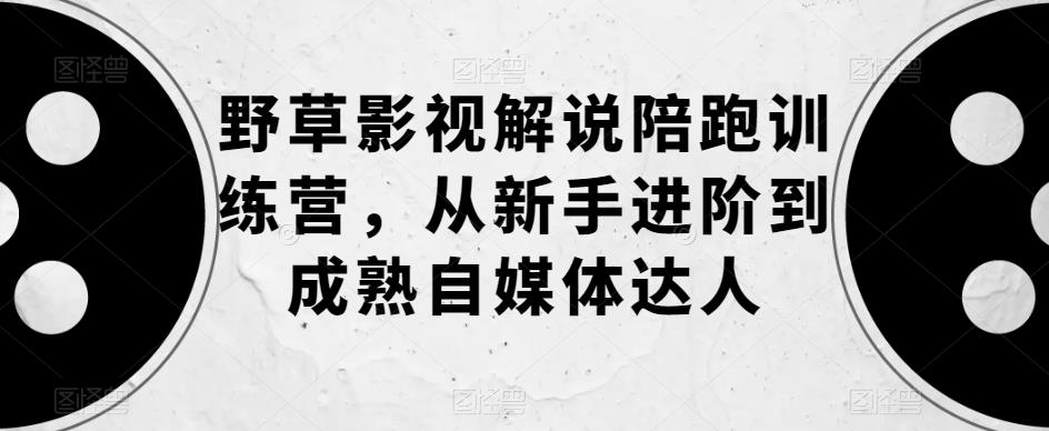 野草影视解说陪跑训练营，从新手进阶到成熟自媒体达人-逐浪前行