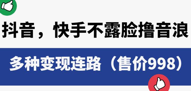 抖音快手不露脸撸音浪项目，多种变现连路（售价998）-逐浪前行