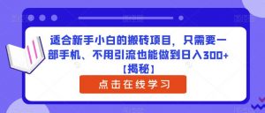 适合新手小白的搬砖项目,只需要一部手机、不用引流也能做到日入300+【揭秘】-逐浪前行