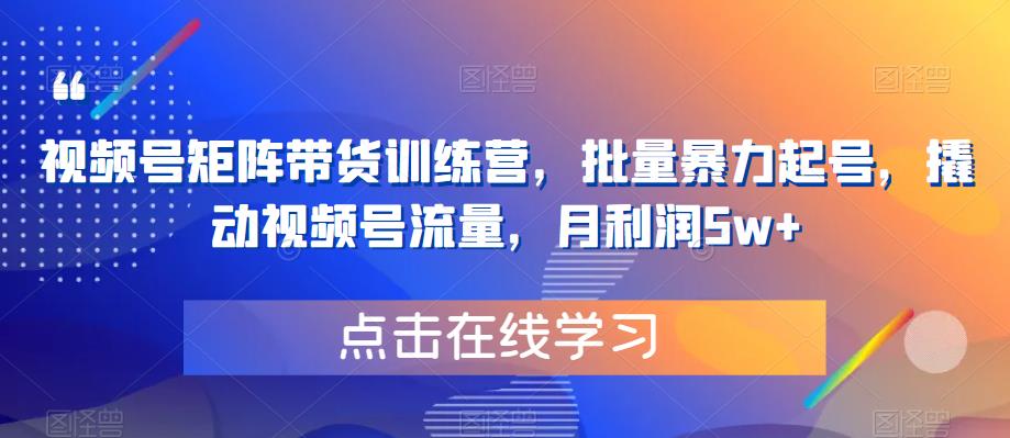 视频号矩阵带货训练营，批量暴力起号，撬动视频号流量，月利润5w+-逐浪前行