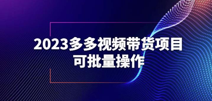2023多多视频带货项目，可批量操作【保姆级教学】【揭秘】-逐浪前行