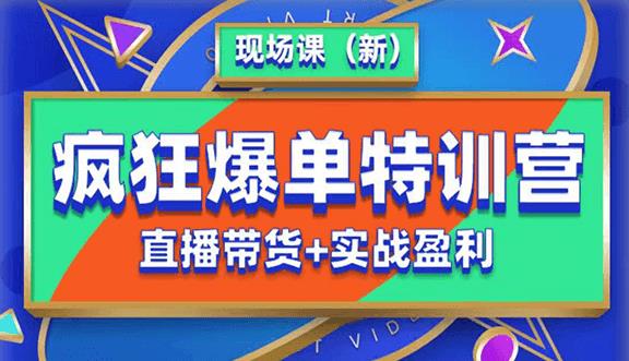抖音短视频疯狂爆单特训营现场课（新）直播带货+实战案例-逐浪前行