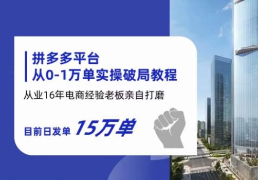 拼多多从0-1万单实操破局教程，从业16年电商经验打磨，目前日发单15万单-逐浪前行