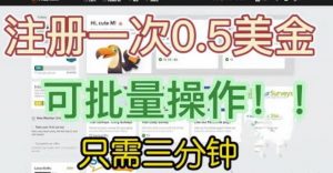 国外项目注册一次0.5美金,只需三分钟无脑操作,可批量同时放大操作,小白工作室福利【揭秘】-逐浪前行