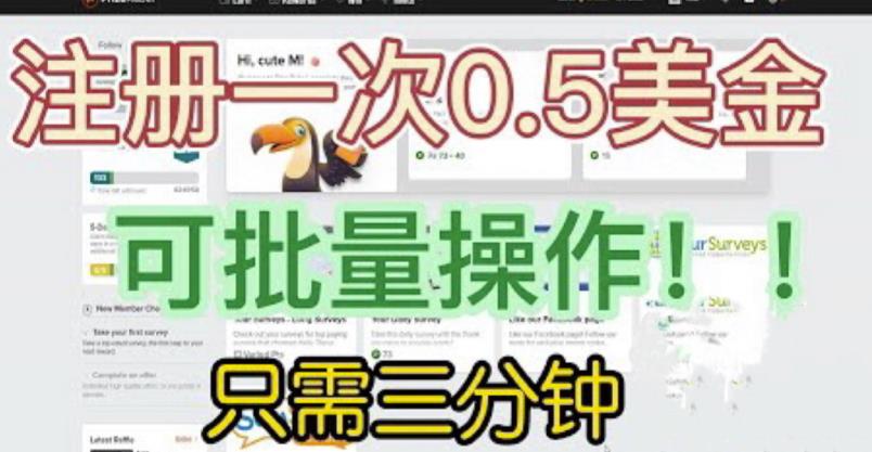 国外项目注册一次0.5美金，只需三分钟无脑操作，可批量同时放大操作，小白工作室福利【揭秘】-逐浪前行