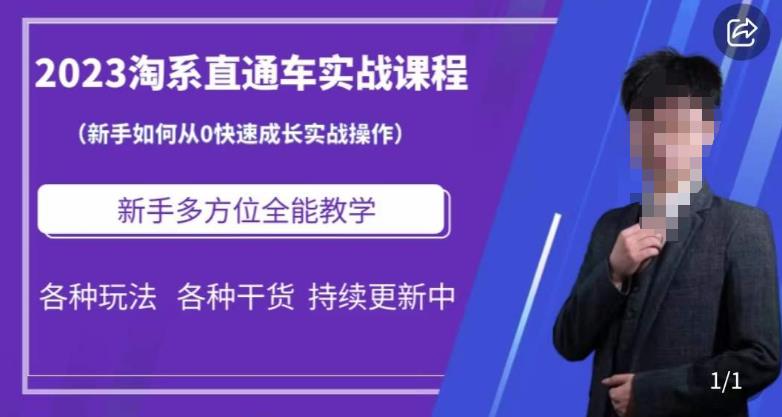 2023淘系直通车保姆式运营讲解，新手如何从0快速成长实战操作，新手多方位全能教学-逐浪前行