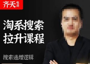 齐天电商·淘系搜索提升课程，​搜索递增标准化，动销标准化流程-逐浪前行