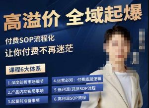 逸风-拼多多高溢价全域起爆,6大课程体系,付费玩法全套实操-逐浪前行