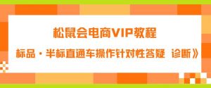 松鼠会电商VIP教程:松鼠《付费推广标品·半标直通车操作针对性答疑&诊断》-逐浪前行