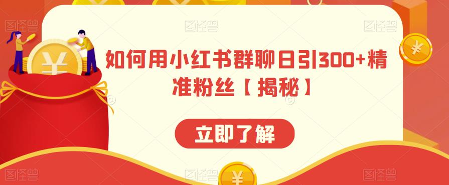 如何用小红书群聊日引300+精准粉丝【揭秘】-逐浪前行