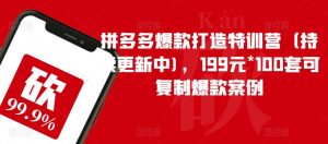 拼多多爆款打造特训营(持续更新中),199元*100套可复制爆款案例-逐浪前行