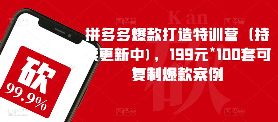拼多多爆款打造特训营（持续更新中)，199元*100套可复制爆款案例-逐浪前行