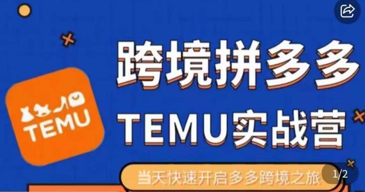 大鹏出海·拼多多跨境temu运营指导，开店注册+选品+核价上架，日出千单实战课-逐浪前行