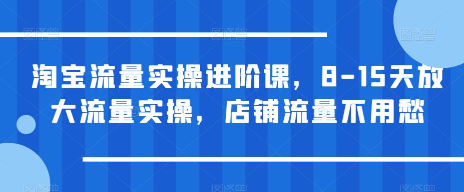 淘宝流量实操进阶课，8-15天放大流量实操，店铺流量不用愁-逐浪前行