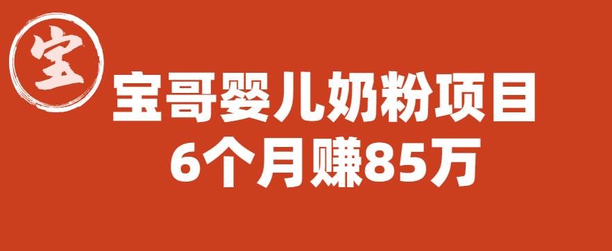 宝哥婴儿奶粉项目，6个月赚85w【图文非视频】【揭秘】-逐浪前行