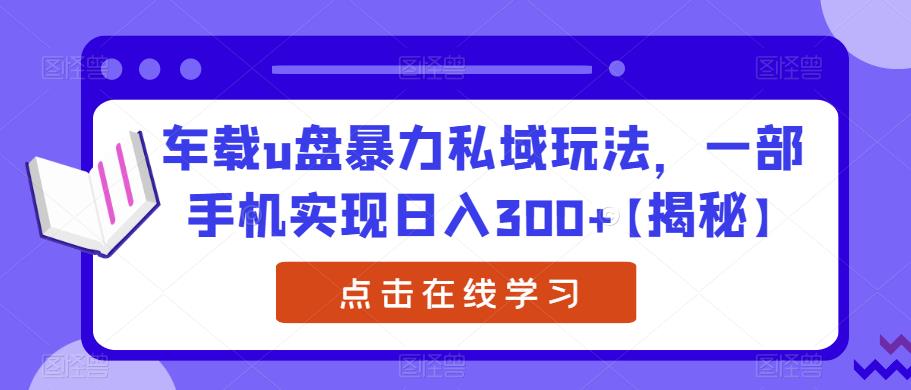 车载u盘暴力私域玩法，一部手机实现日入300+【揭秘】-逐浪前行