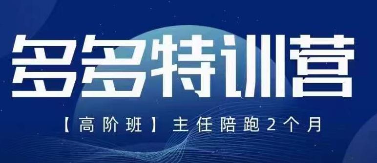 纪主任·5月最新多多特训营高阶班，玩法落地实操，多多全掌握-逐浪前行