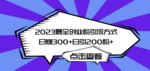 2023最全创业粉引流方式日赚300+日引粉200+【揭秘】-逐浪前行