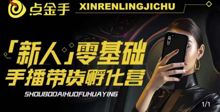 2023点金手·新人零基础手播带货孵化营：账号运营篇+主播话术篇+数据流量篇等-逐浪前行