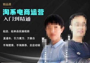 2023手淘搜索实操课+体系化课程,起店起单品实操视频课程-逐浪前行
