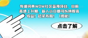 有道词典WOW社区蓝海项目,目前高速上升期,新人小白都可以换取高收益!赶紧布局!【揭秘】-逐浪前行