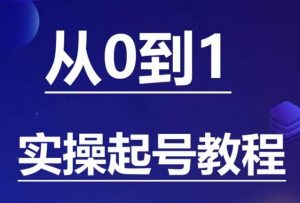 石野·小白起号实操教程,掌握各种起号的玩法技术,了解流量的核心-逐浪前行