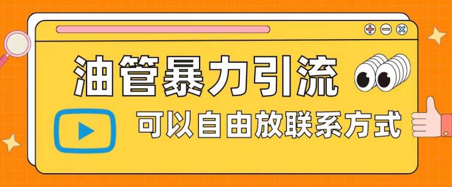 油管暴力引流，可以自由放联系方式【揭秘】-逐浪前行