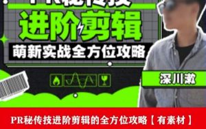 PR进阶剪辑培训班,让你快速成为剪辑大师12节视频课程+素材!-逐浪前行