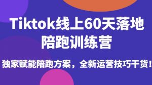 Tiktok线上60天落地陪跑训练营，独家赋能陪跑方案，全新运营技巧干货-逐浪前行