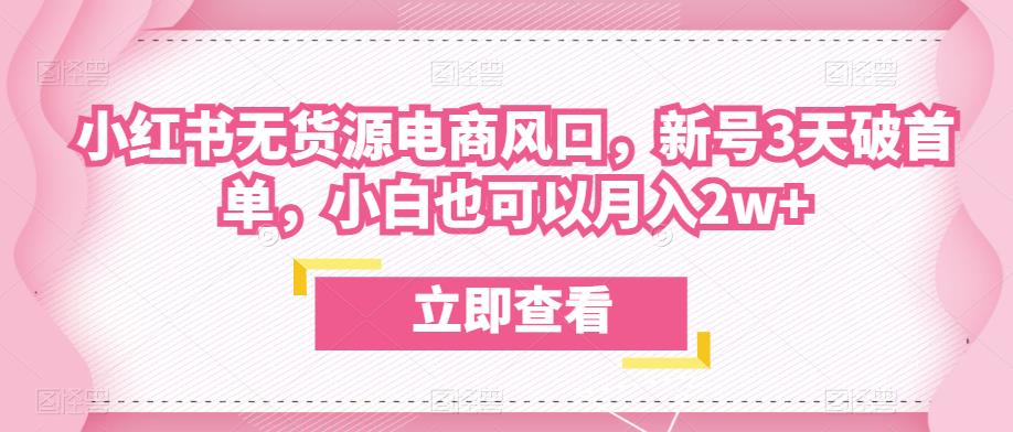 众狼电商余文小红书无货源电商风口，新号3天破首单，小白也可以月入2w+-逐浪前行