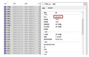 虚拟资源全自动成交系统,从0到1保姆级详细教程-逐浪前行