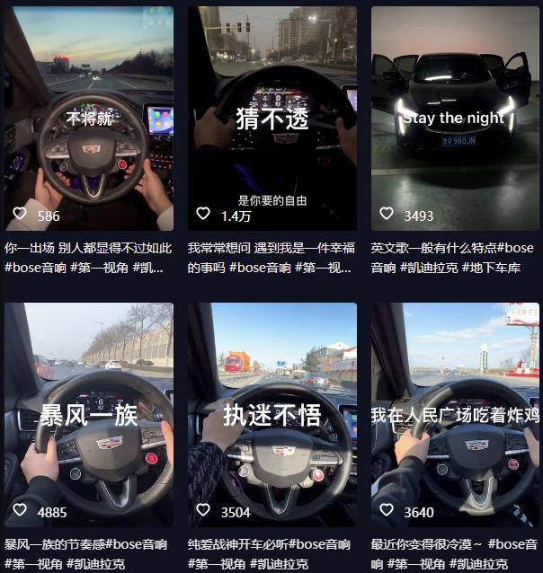 抖音开车视频项目，0基础操作，每天五分钟，月入1W+【揭秘】-逐浪前行
