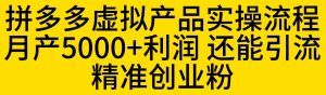 拼多多虚拟产品实操流程,月产5000+利润,还能引流精准创业粉【揭秘】-逐浪前行