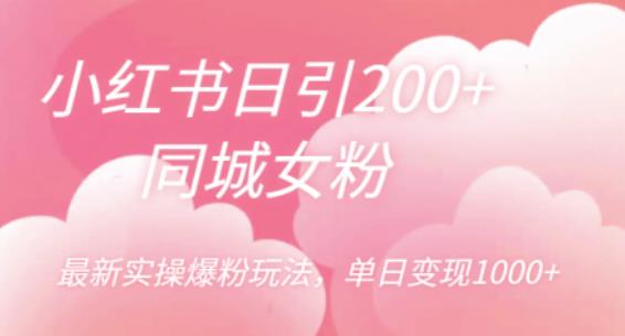 小红书日引200+同城女粉，最新实操爆粉玩法，单日变现1000+【揭秘】-逐浪前行