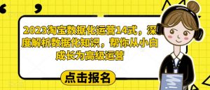 2023淘宝数据化运营14式,深度解析数据化知识,帮你从小白成长为高级运营-逐浪前行