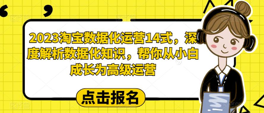 2023淘宝数据化运营14式，深度解析数据化知识，帮你从小白成长为高级运营-逐浪前行