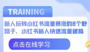 新人玩转小红书流量暴涨的8个野路子,小红书新人快速流量破局-逐浪前行