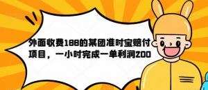 外面收费188的美团准时宝赔付项目,一小时完成一单利润200【仅揭秘】-逐浪前行
