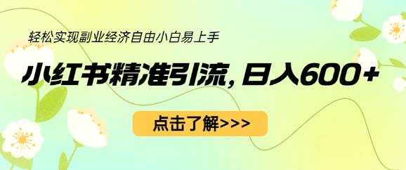 小红书精准引流，小白日入600+，轻松实现副业经济自由（教程+1153G资源）-逐浪前行