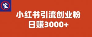宝哥小红书引流创业粉,日赚3000+【揭秘】-逐浪前行