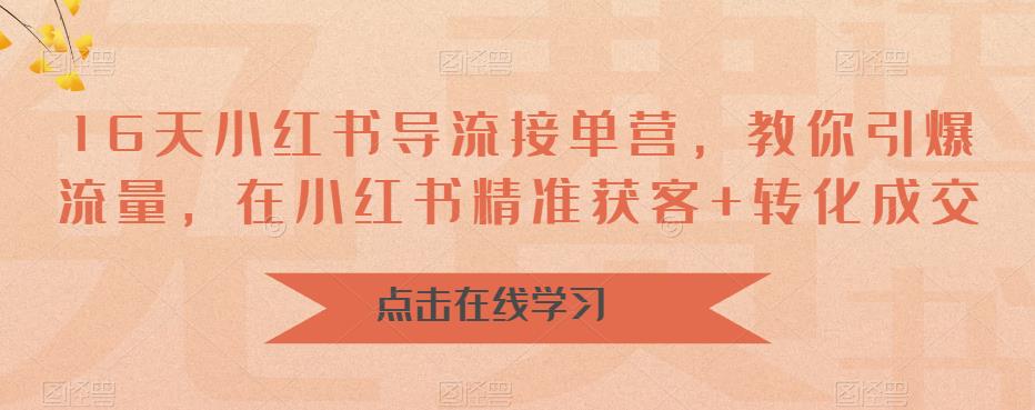 16天小红书导流接单营，教你引爆流量，在小红书精准获客+转化成交-逐浪前行