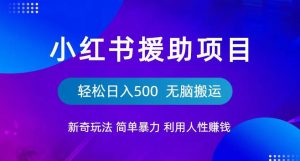 小红书援助项目新奇玩法,简单暴力,无脑搬运轻松日入500【揭秘】-逐浪前行