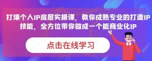 蟹老板·打爆个人IP底层实操课,教你成熟专业的打造IP技能,全方位带你做成一个能商业化IP-逐浪前行